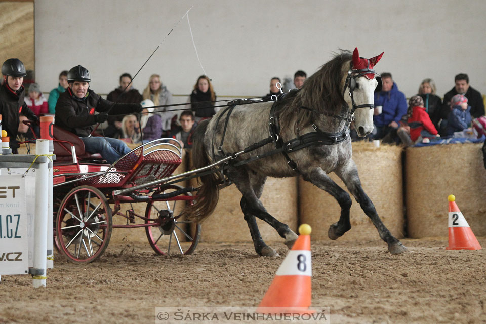 Zimní Jezdecký pohár spřežení 2016 - Slatiňany