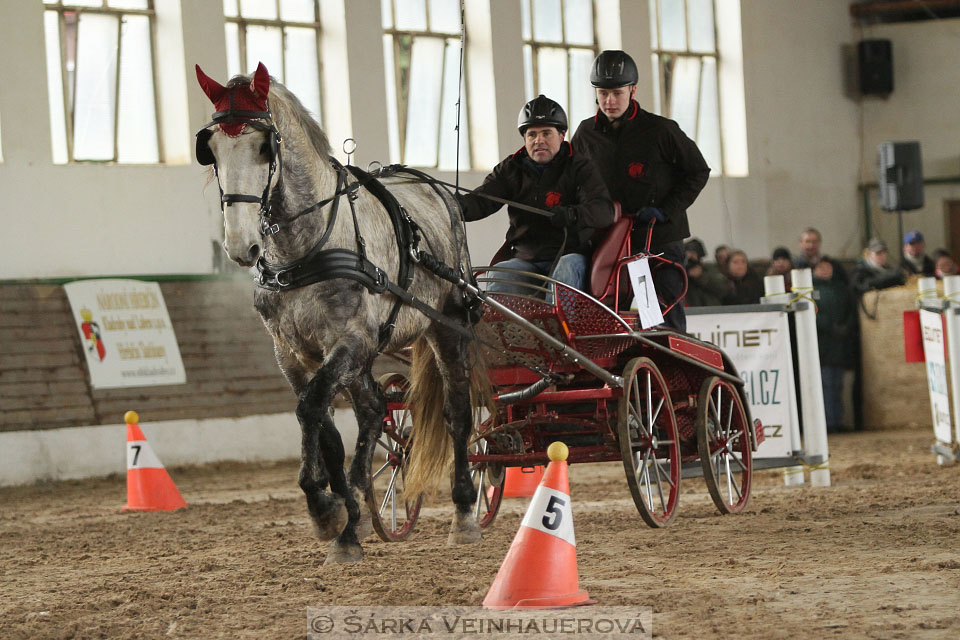 Zimní Jezdecký pohár spřežení 2016 - Slatiňany