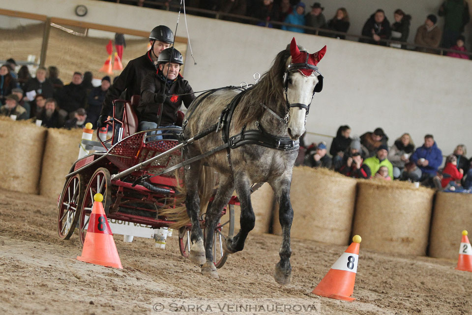 Zimní Jezdecký pohár spřežení 2016 - Slatiňany