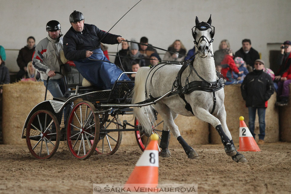 Zimní Jezdecký pohár spřežení 2016 - Slatiňany