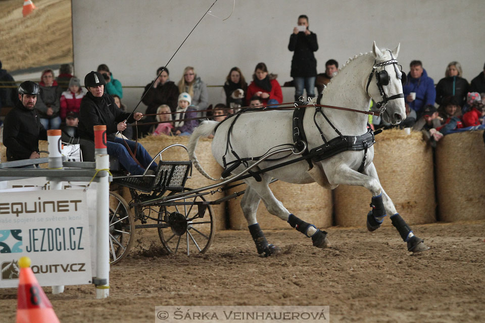 Zimní Jezdecký pohár spřežení 2016 - Slatiňany