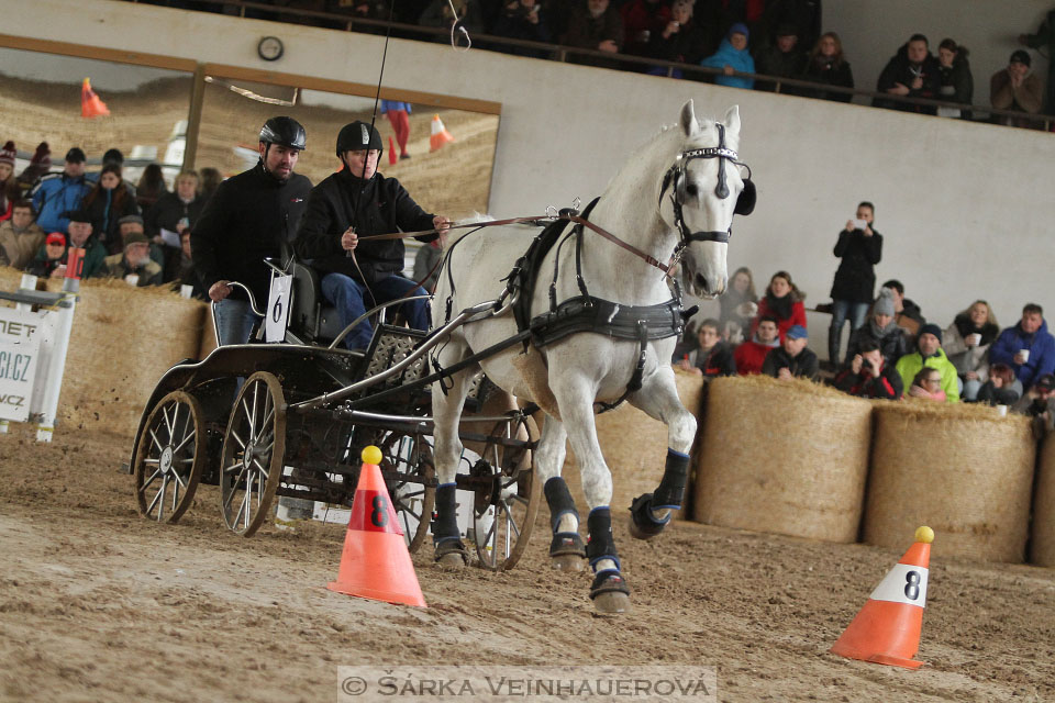 Zimní Jezdecký pohár spřežení 2016 - Slatiňany