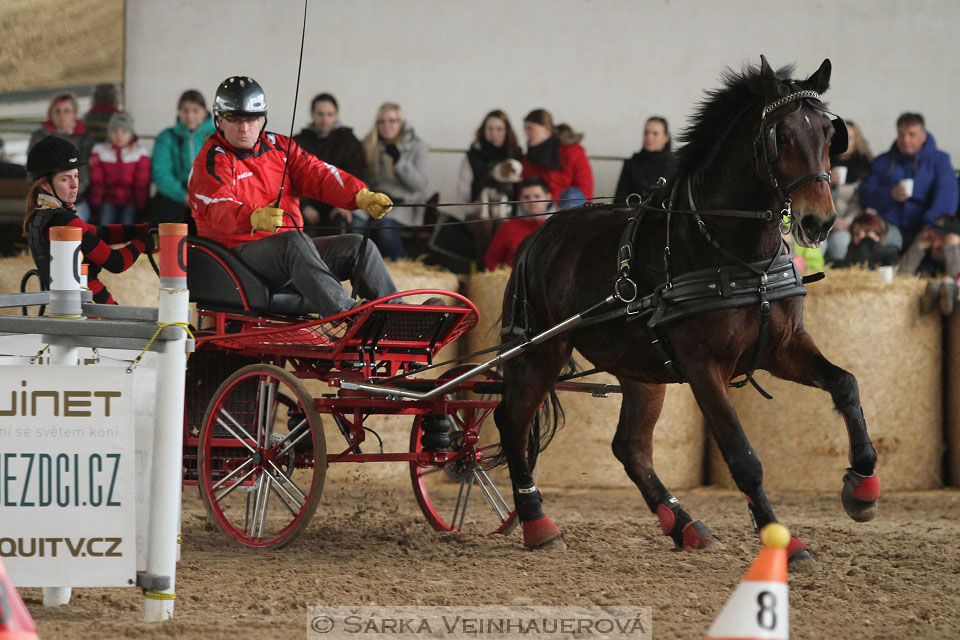 Zimní Jezdecký pohár spřežení 2016 - Slatiňany