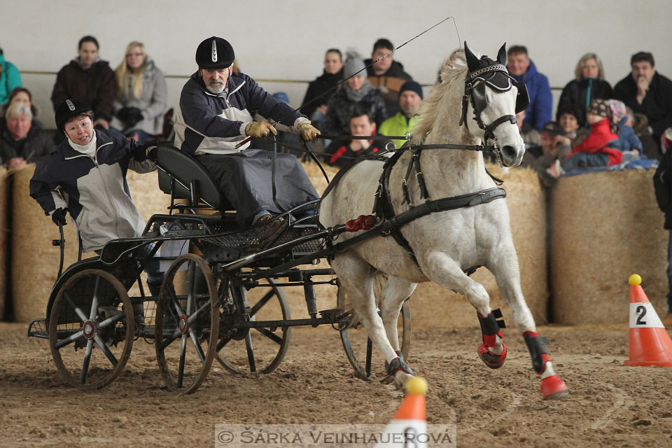 Zimní Jezdecký pohár spřežení 2016 - Slatiňany