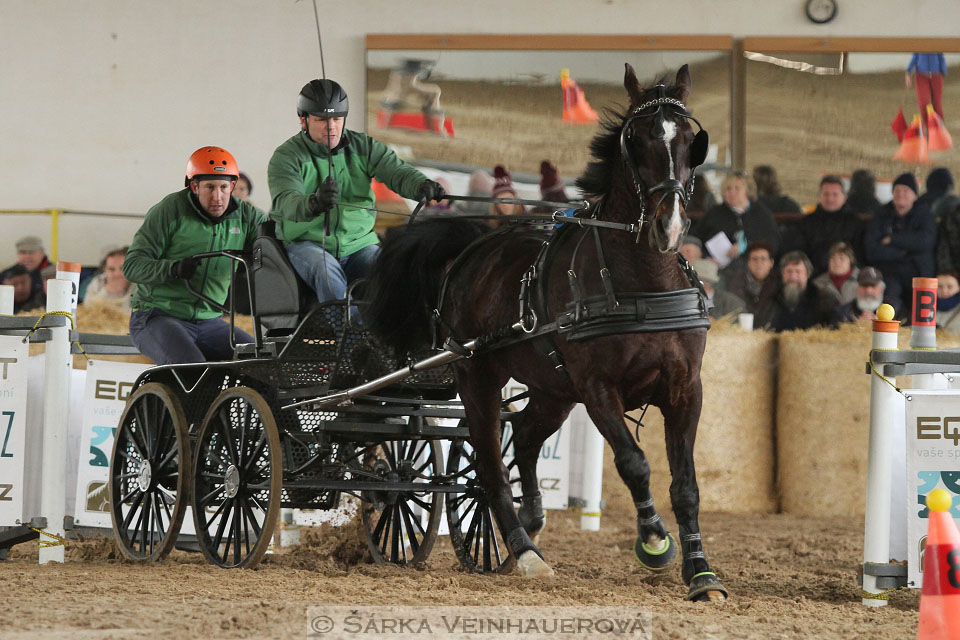 Zimní Jezdecký pohár spřežení 2016 - Slatiňany