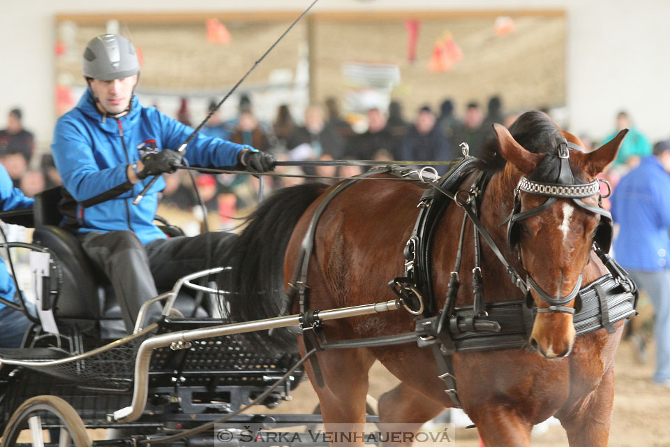 Zimní Jezdecký pohár spřežení 2016 - Slatiňany