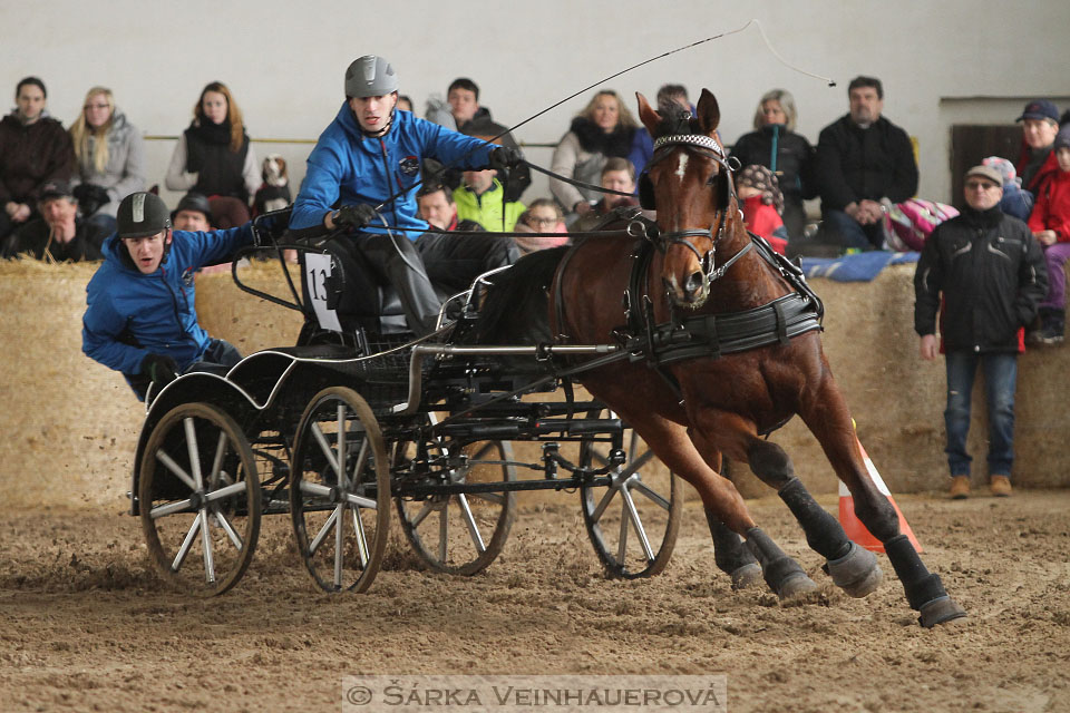 Zimní Jezdecký pohár spřežení 2016 - Slatiňany