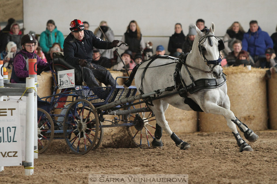 Zimní Jezdecký pohár spřežení 2016 - Slatiňany