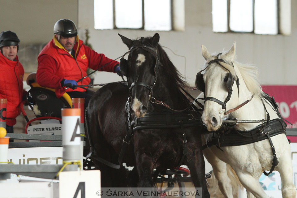 Zimní Jezdecký pohár spřežení 2016 - Slatiňany