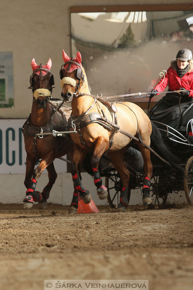 Zimní Jezdecký pohár spřežení 2016 - Slatiňany