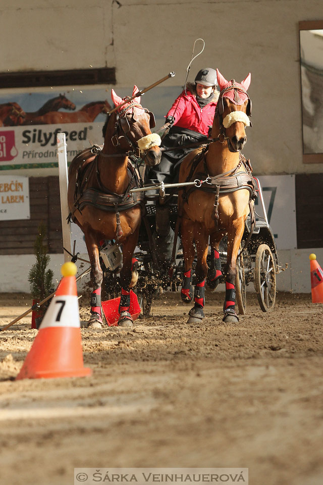 Zimní Jezdecký pohár spřežení 2016 - Slatiňany