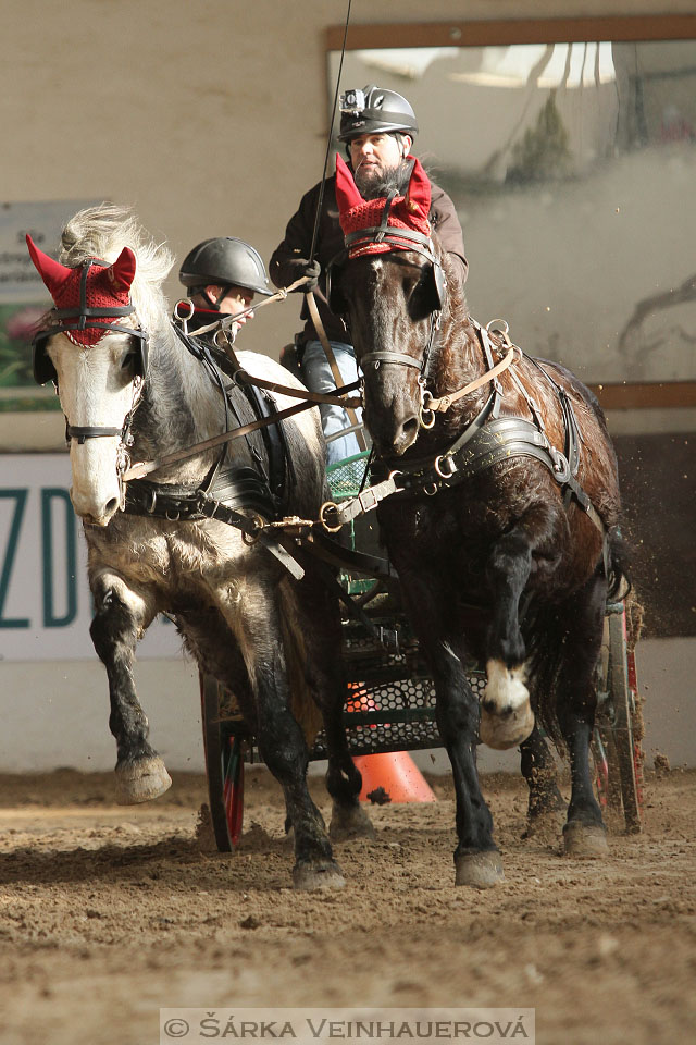 Zimní Jezdecký pohár spřežení 2016 - Slatiňany