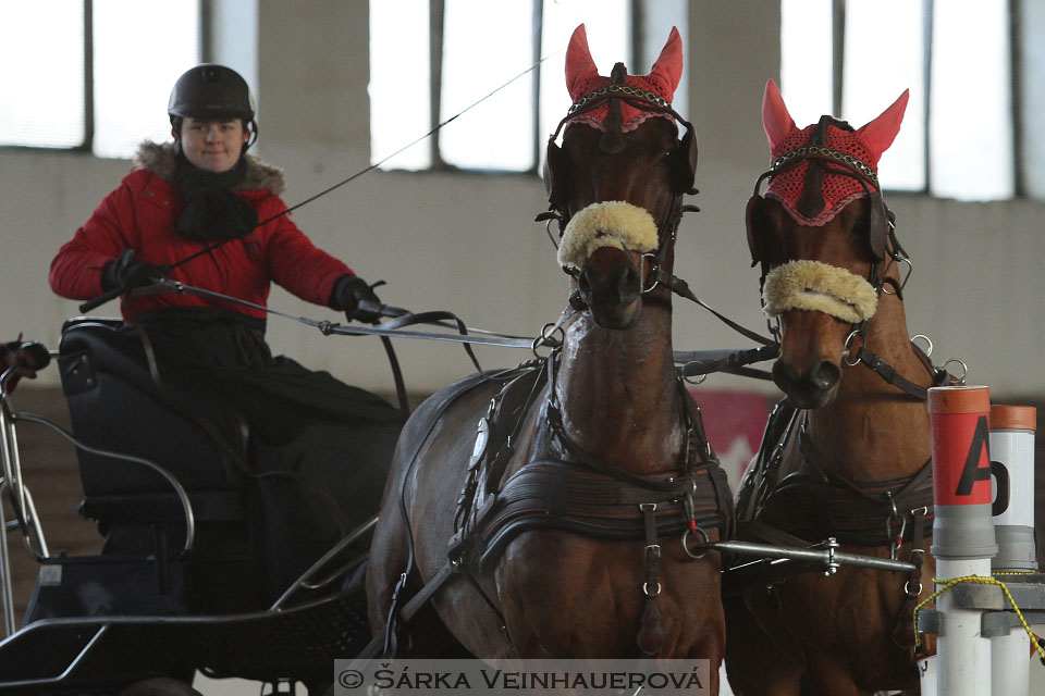 Zimní Jezdecký pohár spřežení 2016 - Slatiňany