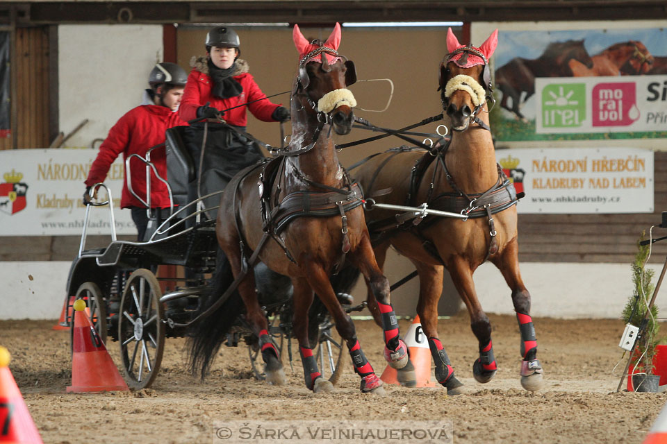 Zimní Jezdecký pohár spřežení 2016 - Slatiňany