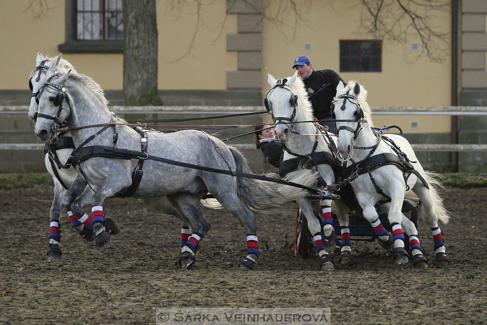 Zimní Jezdecký pohár spřežení 2016 - Slatiňany