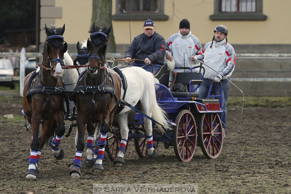 Zimní Jezdecký pohár spřežení 2016 - Slatiňany