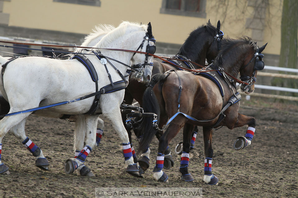 Zimní Jezdecký pohár spřežení 2016 - Slatiňany