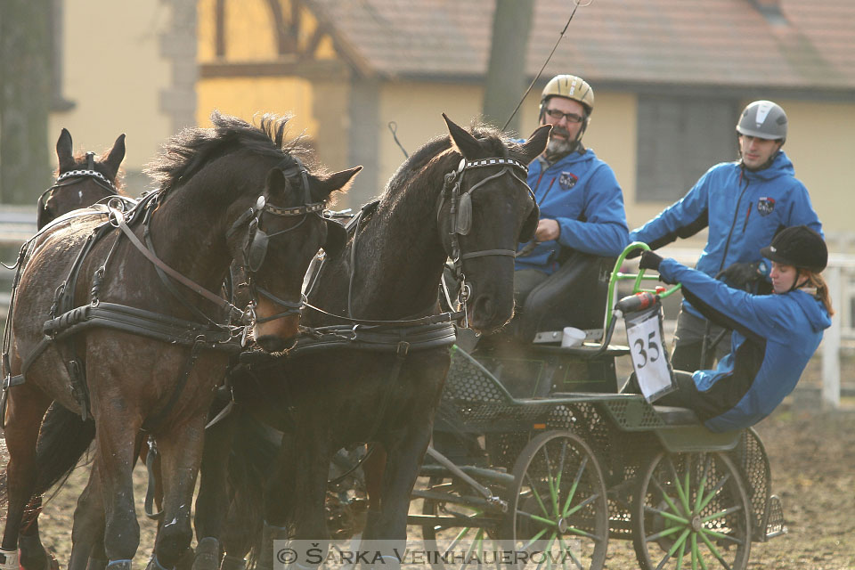 Zimní Jezdecký pohár spřežení 2016 - Slatiňany