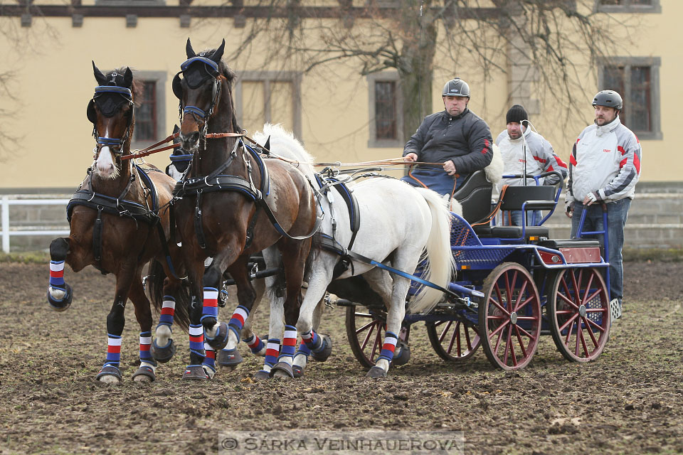 Zimní Jezdecký pohár spřežení 2016 - Slatiňany