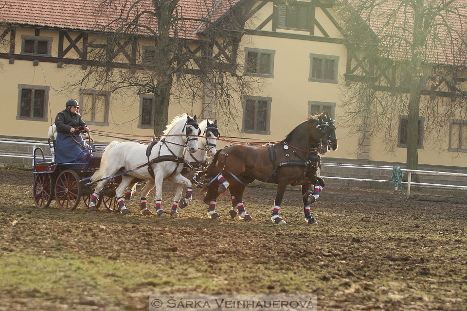 Zimní Jezdecký pohár spřežení 2016 - Slatiňany