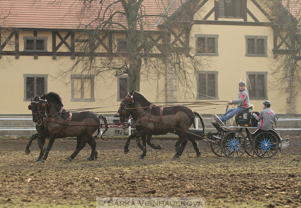 Zimní Jezdecký pohár spřežení 2016 - Slatiňany