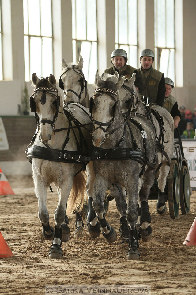 Zimní Jezdecký pohár spřežení 2016 - Slatiňany