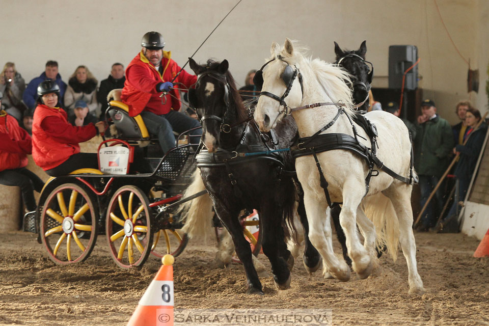 Zimní Jezdecký pohár spřežení 2016 - Slatiňany