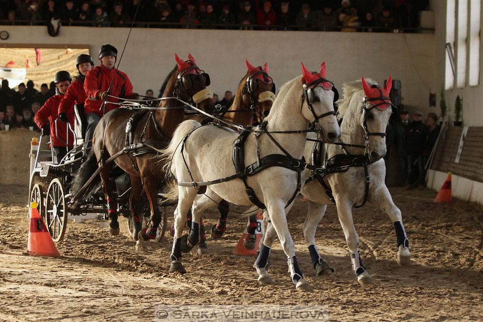 Zimní Jezdecký pohár spřežení 2016 - Slatiňany