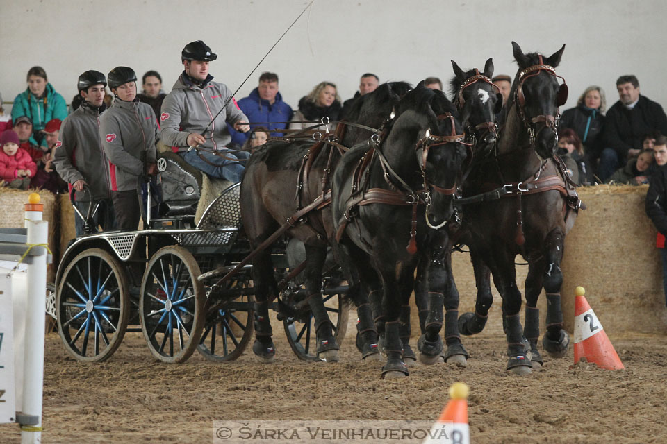 Zimní Jezdecký pohár spřežení 2016 - Slatiňany