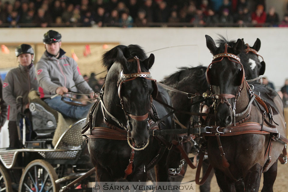 Zimní Jezdecký pohár spřežení 2016 - Slatiňany