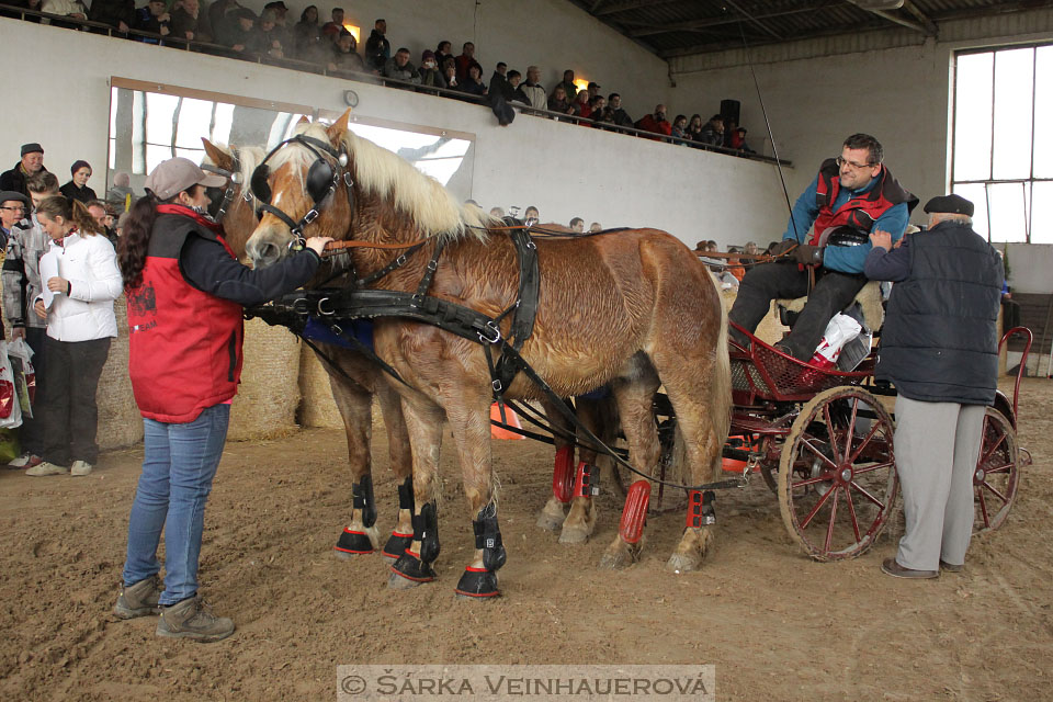 Zimní Jezdecký pohár spřežení 2016 - Slatiňany