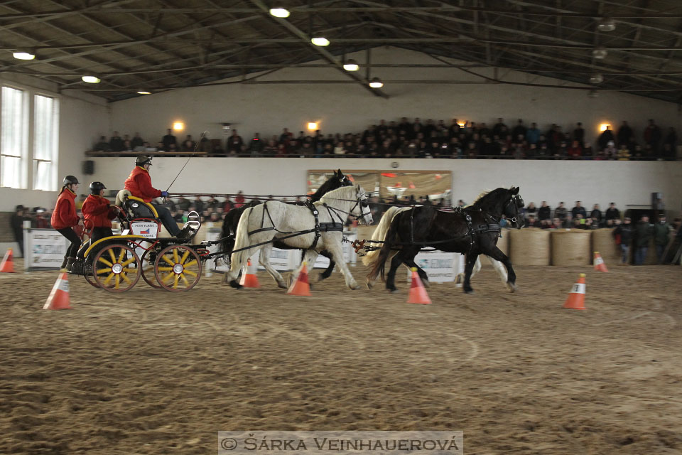 Zimní Jezdecký pohár spřežení 2016 - Slatiňany