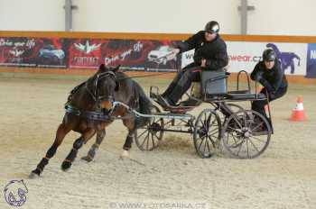 25.2.2018 - spřežení Královice