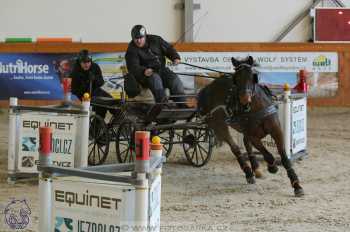 25.2.2018 - spřežení Královice