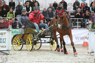 26.3.2017 - spřežení Lysá nad Labem