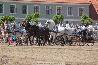 27.5.2017 - Den starokladrubského koně