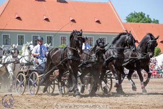 27.5.2017 - Den starokladrubského koně