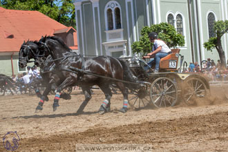 27.5.2017 - Den starokladrubského koně