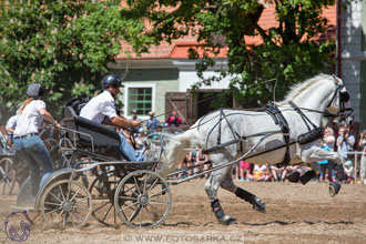 27.5.2017 - Den starokladrubského koně