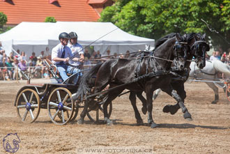 27.5.2017 - Den starokladrubského koně