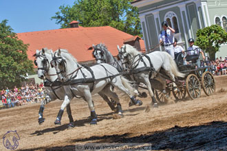 27.5.2017 - Den starokladrubského koně