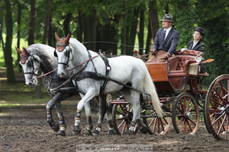 CAI - Drebkau 2016