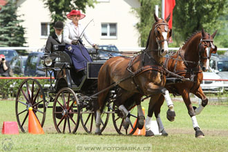 CAI - Drebkau 2016