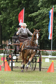 CAI - Drebkau 2016