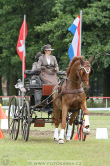 CAI - Drebkau 2016