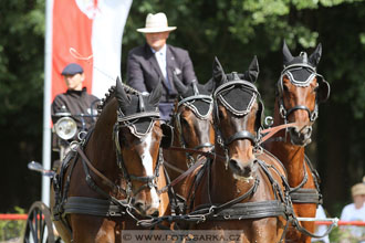 CAI - Drebkau 2016