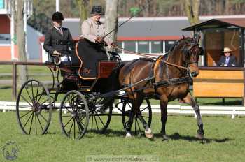 CAN 2* Pardubice - sobota