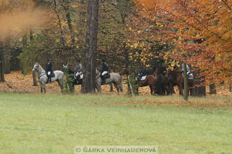 Hubertova jízda