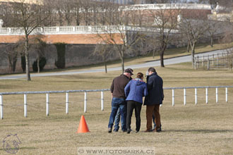 International Equestrian Congress - Horse in...