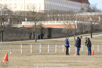 International Equestrian Congress - Horse in...